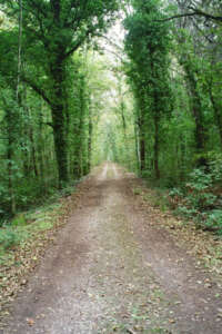 Parco_Nazionale_del_Circeo