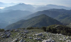 lucretili