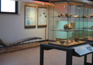 Pofi-Museopreistorico_jpg