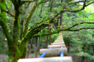 Parco Avventura WookPark